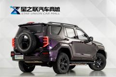 Tank 400 New Energy 2.0T Hi4-Z Smart Edition - photo 6