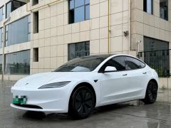 Tesla Model 3 634km Rear-Wheel Drive Edition - ფოტო 1