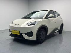 BYD Seagull Smart Driving Edition 305km Vitality Edition - photo 1
