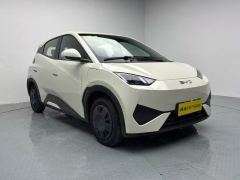BYD Seagull Smart Driving Edition 305km Vitality Edition - photo 3