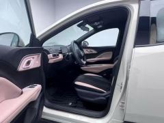 BYD Seagull Smart Driving Edition 305km Vitality Edition - photo 4
