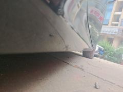 Geely Galaxy Star Shine 8 EM-i 1.5L 130km Exclusive Edition - photo 5