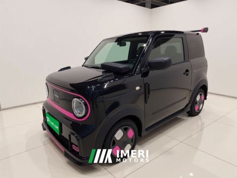 2025 Geely Panda 210km - car from China