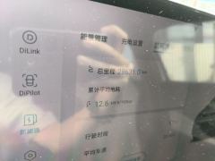 BYD Dolphin 420km Stylish Edition - photo 8