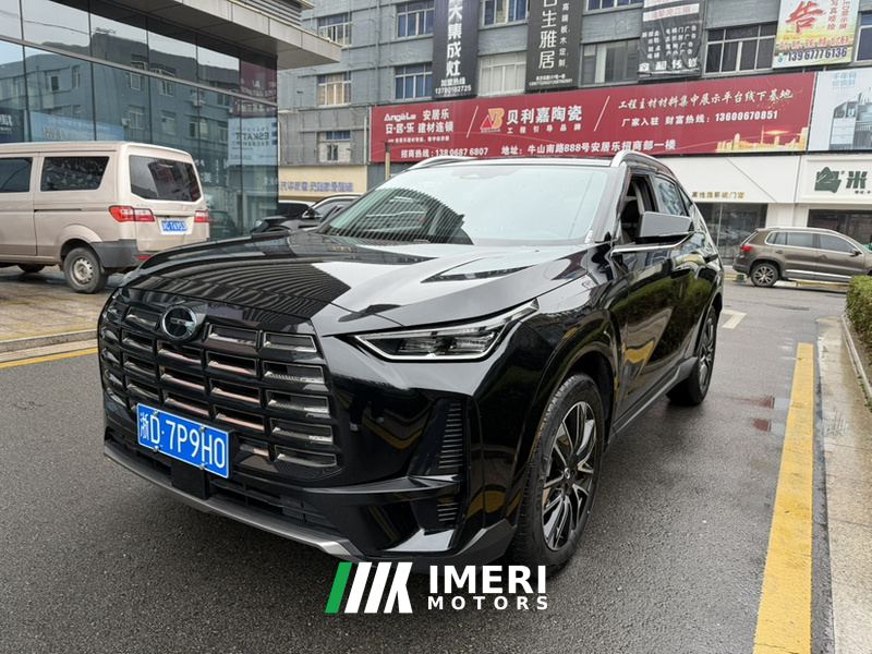 GAC Aion GS4 MAX 1.5T Premier Edition - car from China
