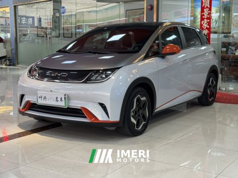 2021 BYD Dolphin 405km Stylish Edition - ავტომობილი ჩინეთიდან