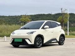 BYD Seagull 405km Flying Edition - ფოტო 1