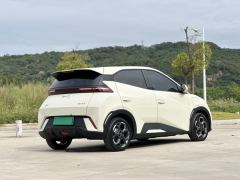 BYD Seagull 405km Flying Edition - ფოტო 4