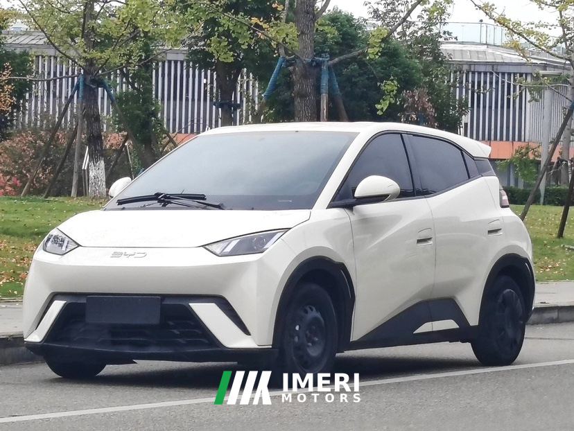 BYD Seagull Honor Edition 305km Vitality Edition - ავტომობილი ჩინეთიდან