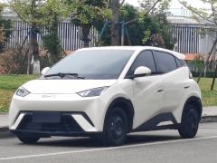 BYD Seagull Honor Edition 305km Vitality Edition - ფოტო 1