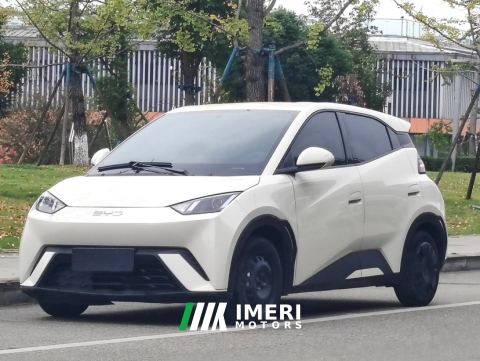 2024 BYD Seagull Honor Edition 305km Vitality Edition - ავტომობილი ჩინეთიდან