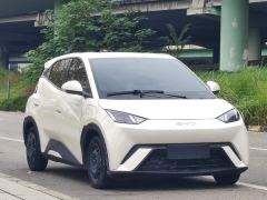 BYD Seagull Honor Edition 305km Vitality Edition - ფოტო 3