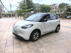 Wuling Bingo Binguo 333km Joy Edition - photo 1