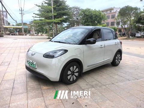 2023 Wuling Bingo Binguo 333km Joy Edition