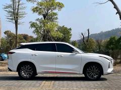 Oshan Z6 1.5T Smart Version - ფოტო 10