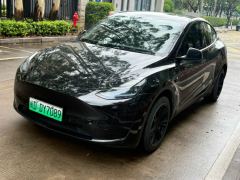 Tesla Model Y 545km Rear-Wheel Drive Edition - ფოტო 1
