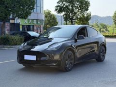 Tesla Model Y 554km Rear-Wheel Drive Edition - ფოტო 1