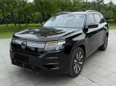 Volkswagen Teramont Pro 450TSI Edition - photo 1