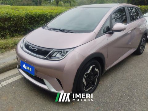 2021 BYD Dolphin 405km Stylish Edition - ავტომობილი ჩინეთიდან