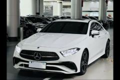 Mercedes-Benz CLS 300 Luxury - photo 1