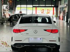 Mercedes-Benz CLS 300 Luxury - photo 13