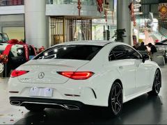 Mercedes-Benz CLS 300 Luxury - photo 14