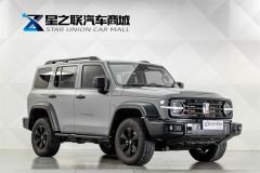 Tank 300 2.4T Standard Edition Diesel - ფოტო 5