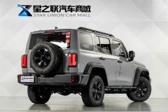 Tank 300 2.4T Standard Edition Diesel - ფოტო 6