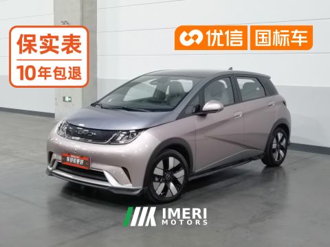 2021 BYD Dolphin 401km Knight Edition - ავტომობილი ჩინეთიდან