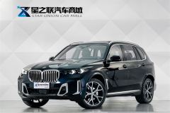 BMW X5 xDrive30Li Deluxe VersionM - фото 1