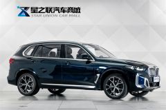 BMW X5 xDrive30Li Deluxe VersionM - фото 5