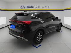 Haval H6 Guochao Edition 1.5T 2WD Urban Edition - фото 2