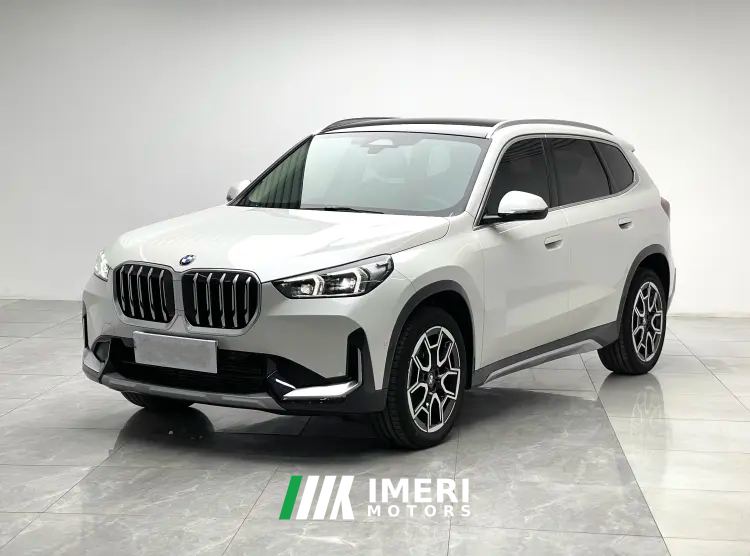 BMW X1 sDrive25Li X Design Package - car from China