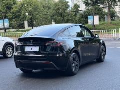 Tesla Model Y 554km Rear-Wheel Drive Edition - ფოტო 5