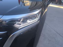 Denza D9 DM-i 1050 Luxury Edition - ფოტო 4