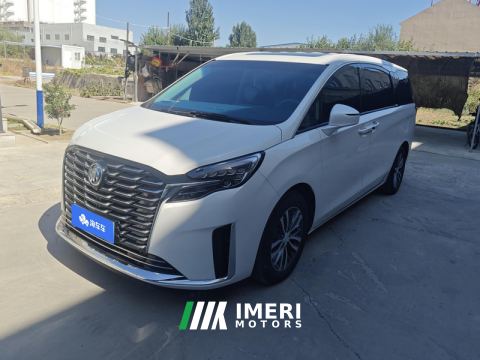 2023 Buick GL8 ES Luxury Edition 2.0T Comfort Edition 7-seater - автомобиль из Китая