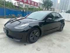 Tesla Model 3 556km Rear-Wheel Drive Edition - фото 1