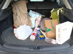 Changan Chitu Lingyun 290T Two-Wheel Drive Star Shine Edition - photo 7