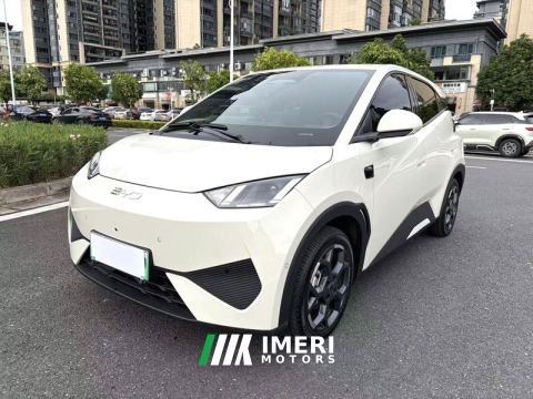 2025 BYD Seagull 305km Free Version - автомобиль из Китая