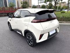 BYD Seagull 305km Free Version - ფოტო 10