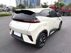 BYD Seagull 305km Free Version - ფოტო 11