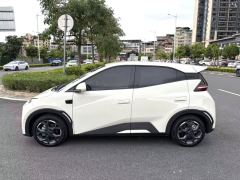 BYD Seagull 305km Free Version - ფოტო 8