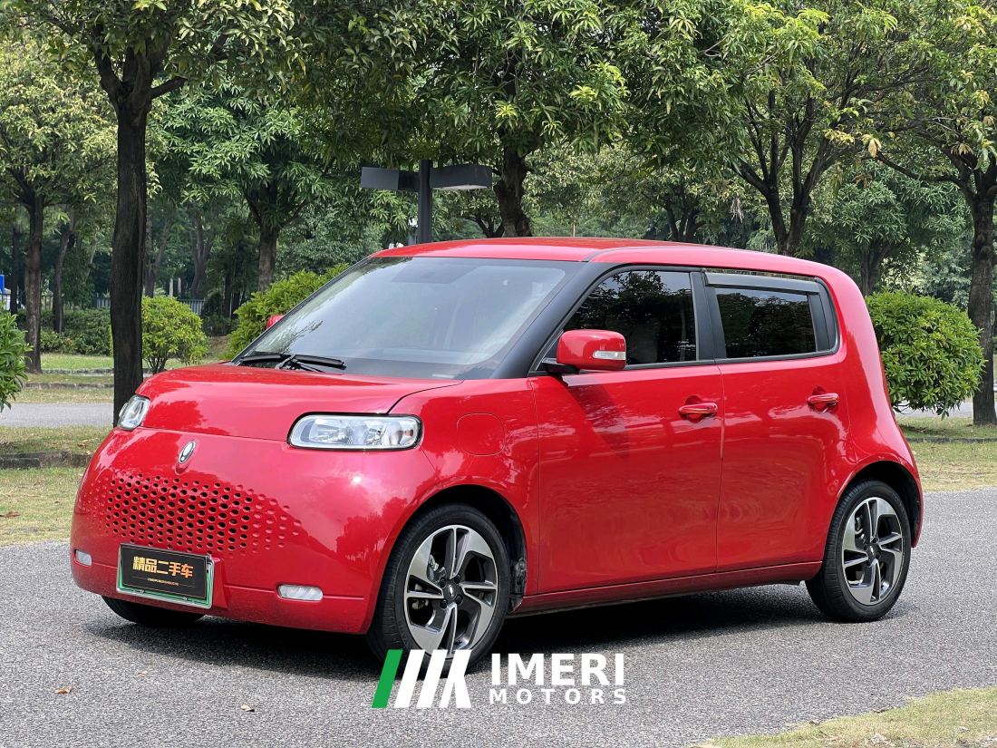 Ora White Cat Upgrade 305km Luxury Trim Ternary Lithium Battery - car from China