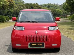 Ora White Cat Upgrade 305km Luxury Trim Ternary Lithium Battery - photo 2