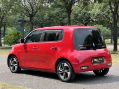 Ora White Cat Upgrade 305km Luxury Trim Ternary Lithium Battery - photo 8