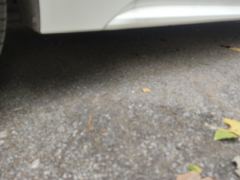 Toyota Levin Dual-Engine 1.8L Leading Edition - фото 10