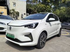 Oshan Benben E-Star 310km Edition - photo 1