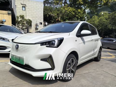 2023 Oshan Benben E-Star 310km Edition - ავტომობილი ჩინეთიდან