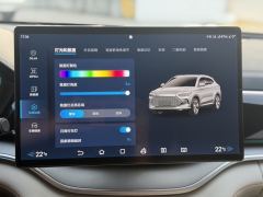 BYD Song PLUS DM-i 51KM Premium Edition - ფოტო 13