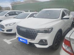 Haval H6 Guochao Edition 1.5T 2WD Urban Edition - photo 1
